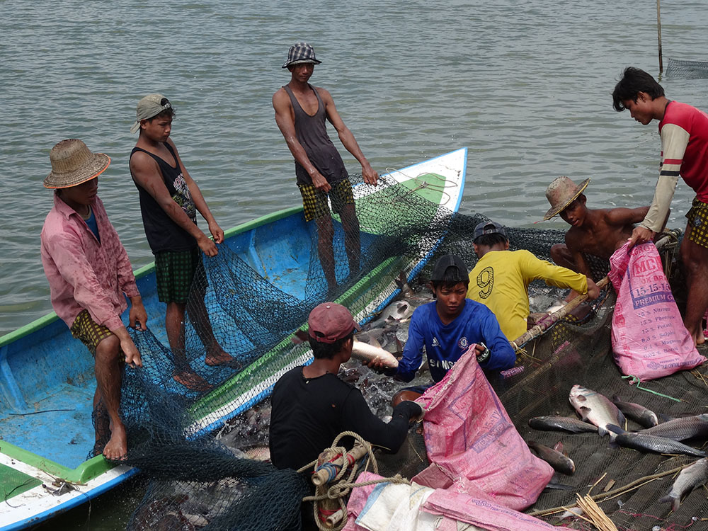 Men with Nets-SM